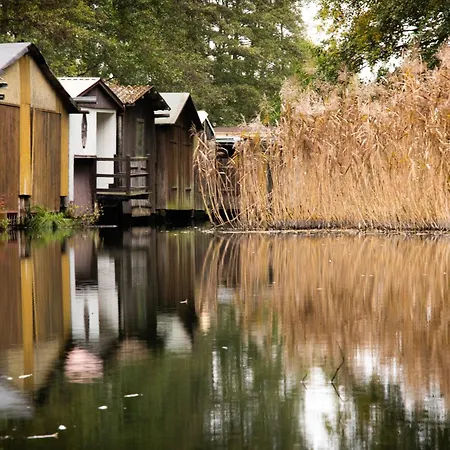 Ferienhaus Südkugel - Kugelhaus In ökologischer Bauweise Am Tollensesee Penzlin